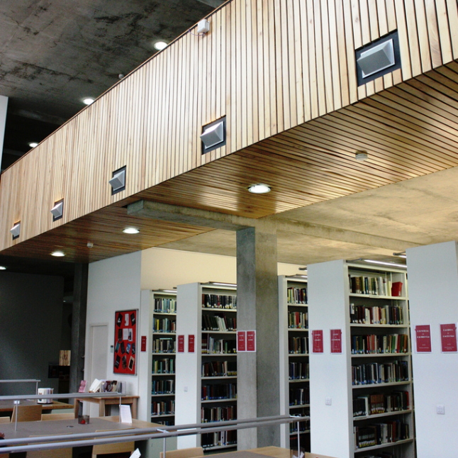 Library Bookshelves